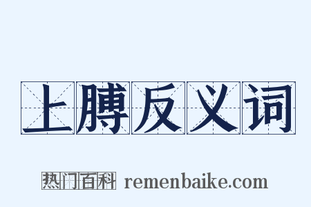 上膊反义词是什么意思的图片